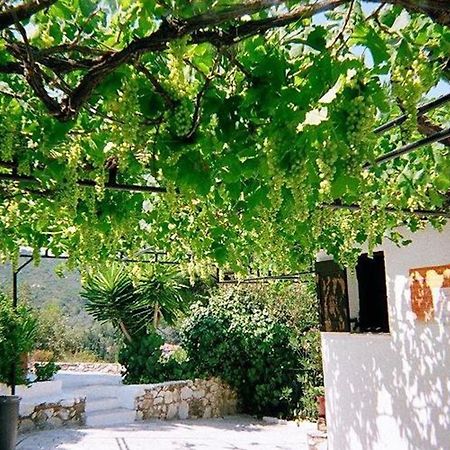 Villa Elpiniki 트롤로스 외부 사진