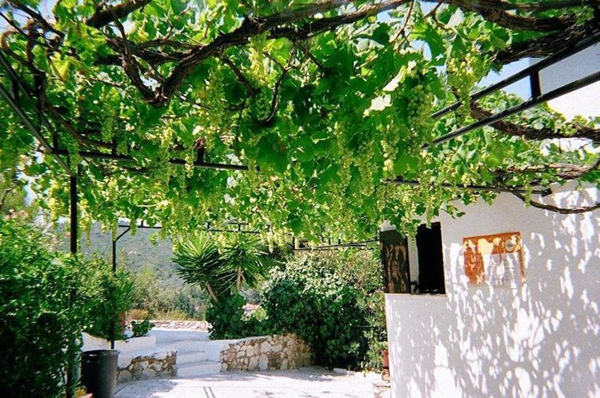 Villa Elpiniki 트롤로스 외부 사진