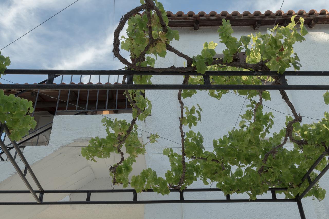 Villa Elpiniki 트롤로스 외부 사진